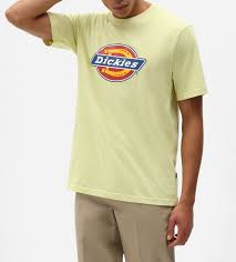 Camiseta Dickies Yellow